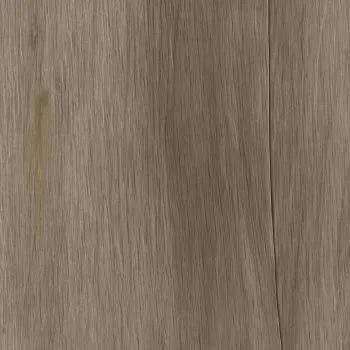 SPC Prime Cappuccino